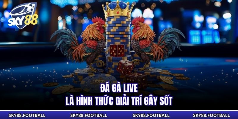 Đá gà live là hình thức giải trí gây sốt