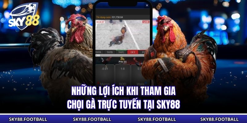 Những lợi ích khi tham gia chọi gà trực tuyến tại SKY88