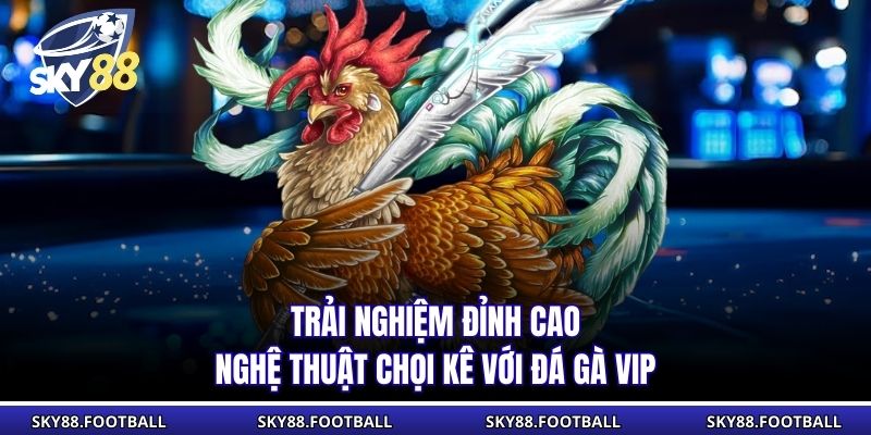 Trải nghiệm đỉnh cao nghệ thuật chọi kê với đá gà VIP